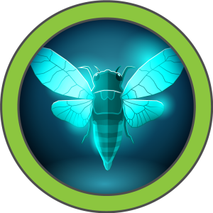 Cicada cover